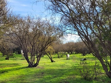 Venta / Parcela / Melipilla