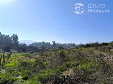 Imagen 18
