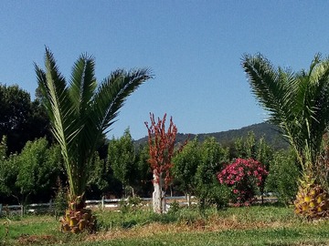 Venta / Parcela / Melipilla