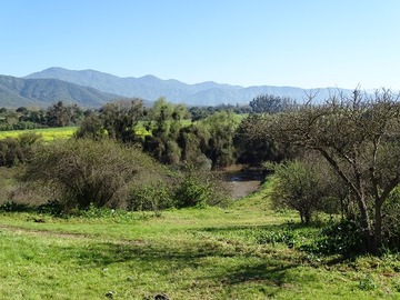 Venta / Parcela / Melipilla