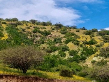 Venta / Parcela / Melipilla