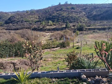Imagen 14