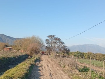 camino de entrada a la parcela 