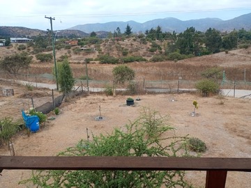Imagen 12