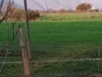 Venta / Parcela / Melipilla