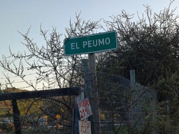 Imagen 5