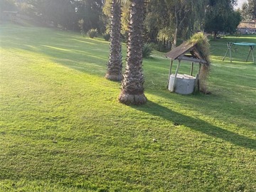 Imagen 11