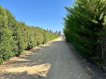 Venta / Parcela / Melipilla