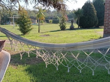 Imagen 12