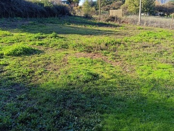 Venta / Parcela / Melipilla