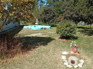 Imagen 9