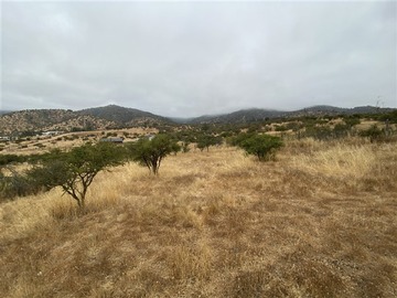 Imagen 4