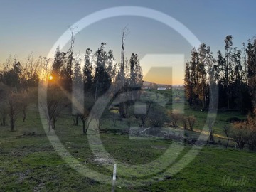 Imagen 8