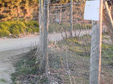 Imagen 10