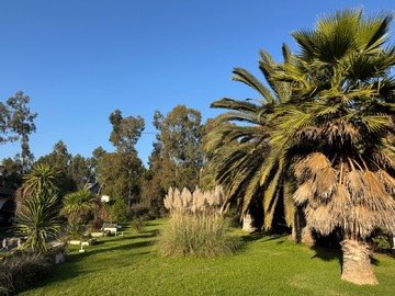 Venta / Parcela / Melipilla