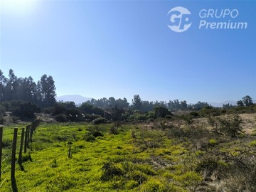 Imagen 17