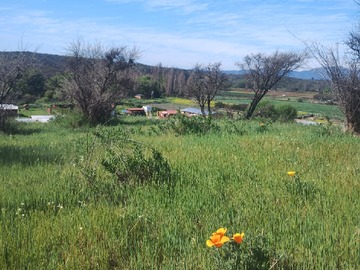 Imagen 9