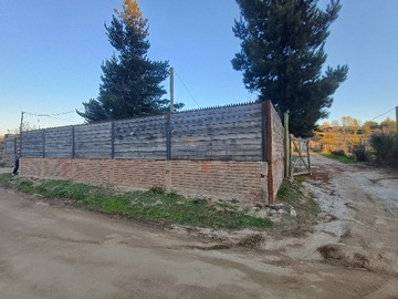 Imagen 13