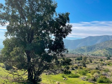 Venta / Parcela / Melipilla