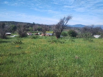 Imagen 6
