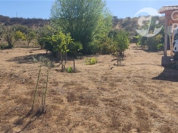 Imagen 29