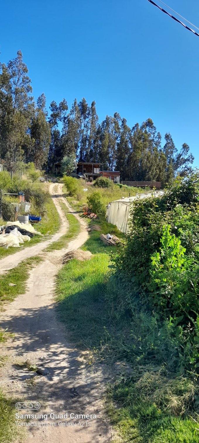 acceso casa principal