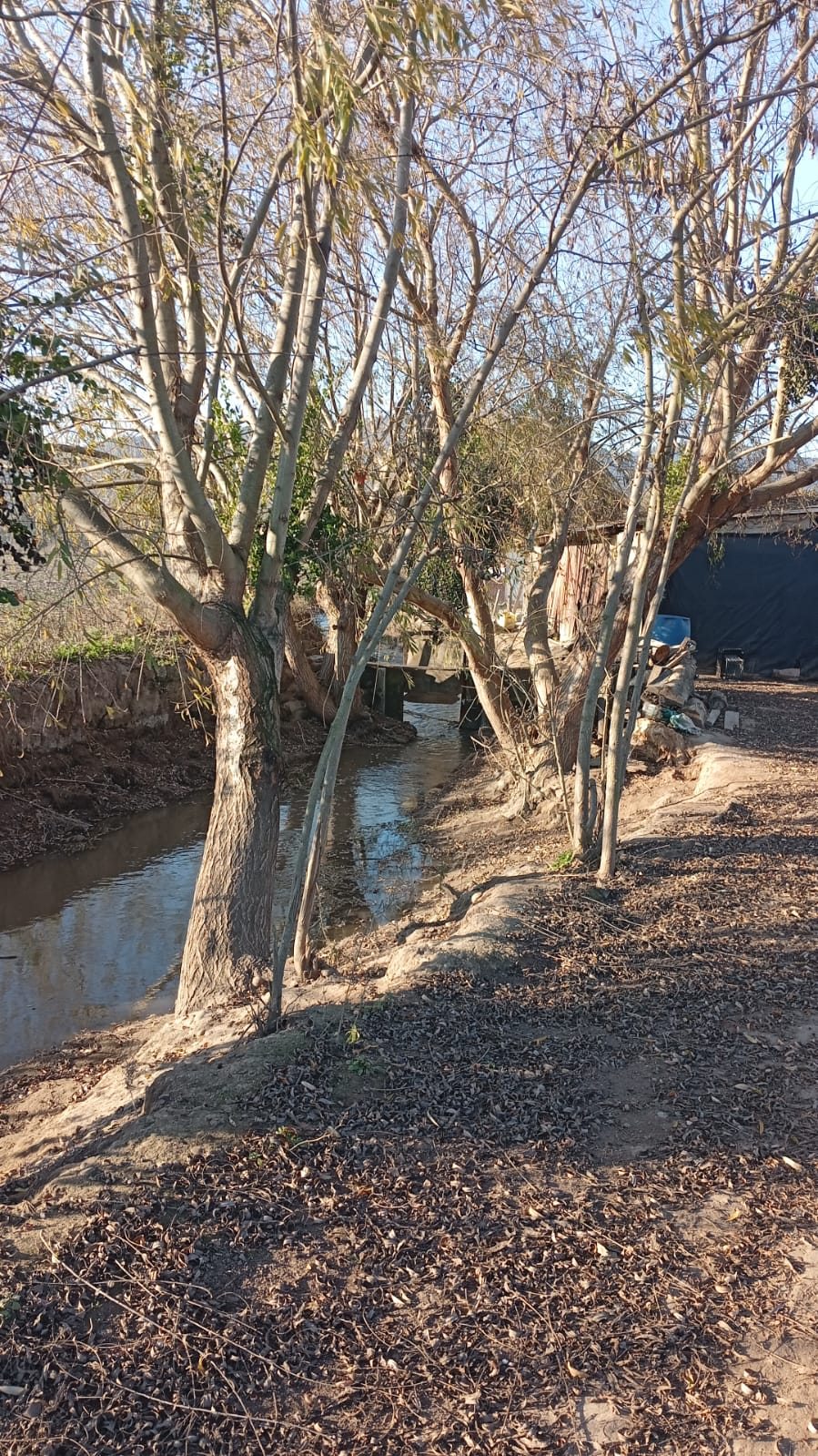 canal a orilla de la parcela 
