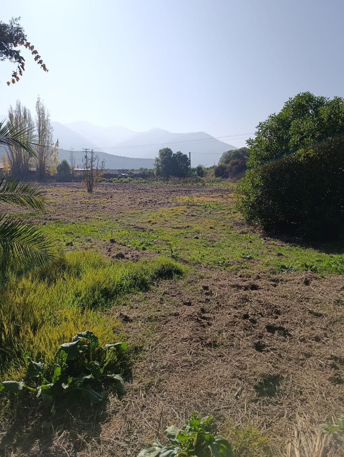 TERRENO