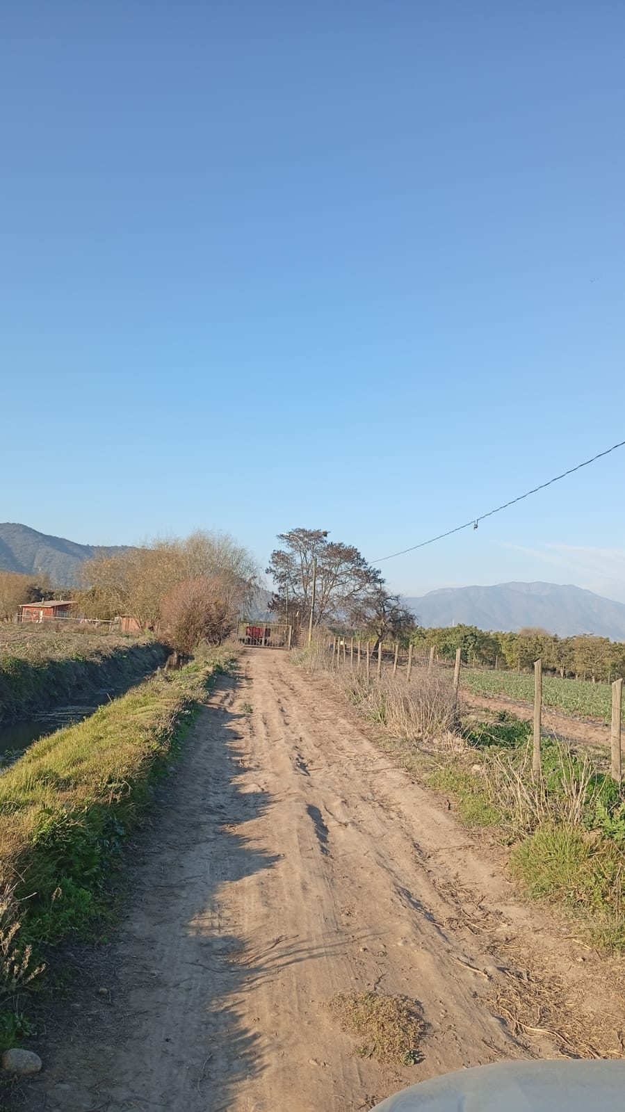 camino de entrada a la parcela 