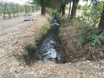 Imagen 5