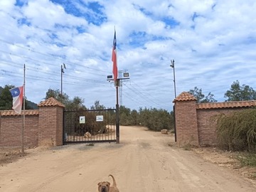 Venta / Parcela / Molina