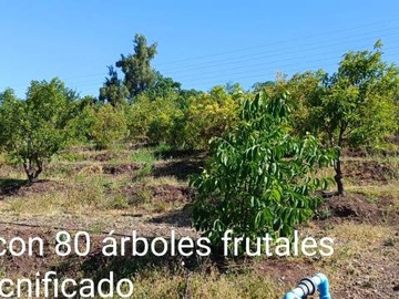 Imagen 16