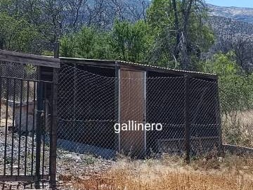 Imagen 14