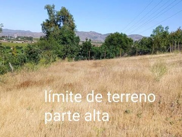 Imagen 17