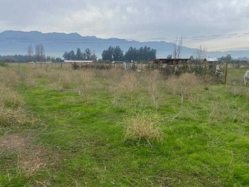 Imagen 8
