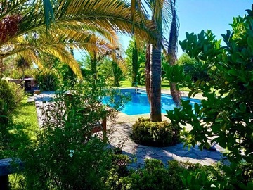 Venta / Parcela / Mostazal