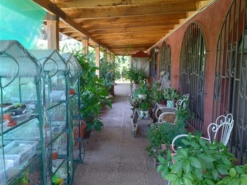 Imagen 6