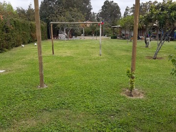 Imagen 7