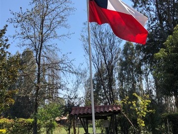 Venta / Parcela / Mostazal