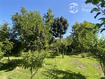 Imagen 11