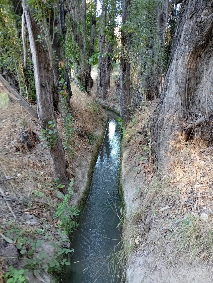 canal regadío