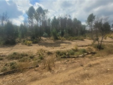 Imagen 20