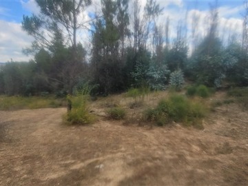 Imagen 12
