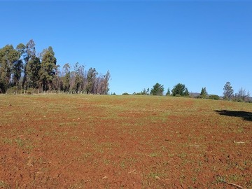 Venta / Parcela / Nacimiento