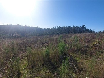 Imagen 9