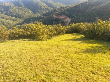 Imagen 8