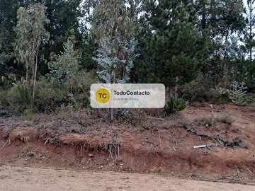 Imagen 21