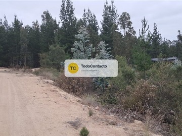 Imagen 26