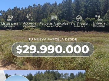 Imagen 4