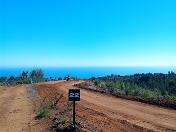 Venta / Parcela / Navidad